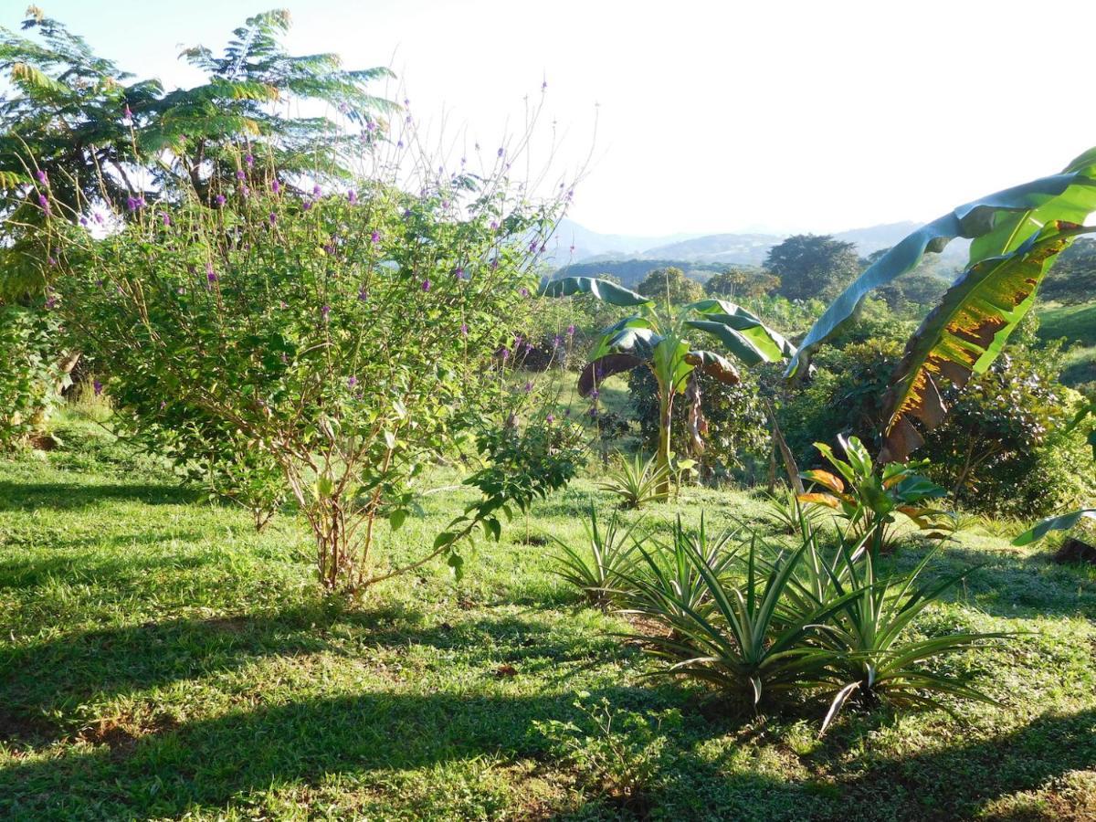 Hostal Casa Las Lajas Las Lajas  Ngoại thất bức ảnh